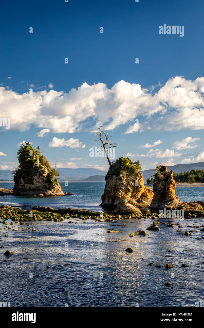 Le Tre Grazie formazioni rocciose al di fuori di Garibaldi, Oregon, Stati Uniti d'America. Foto Stock