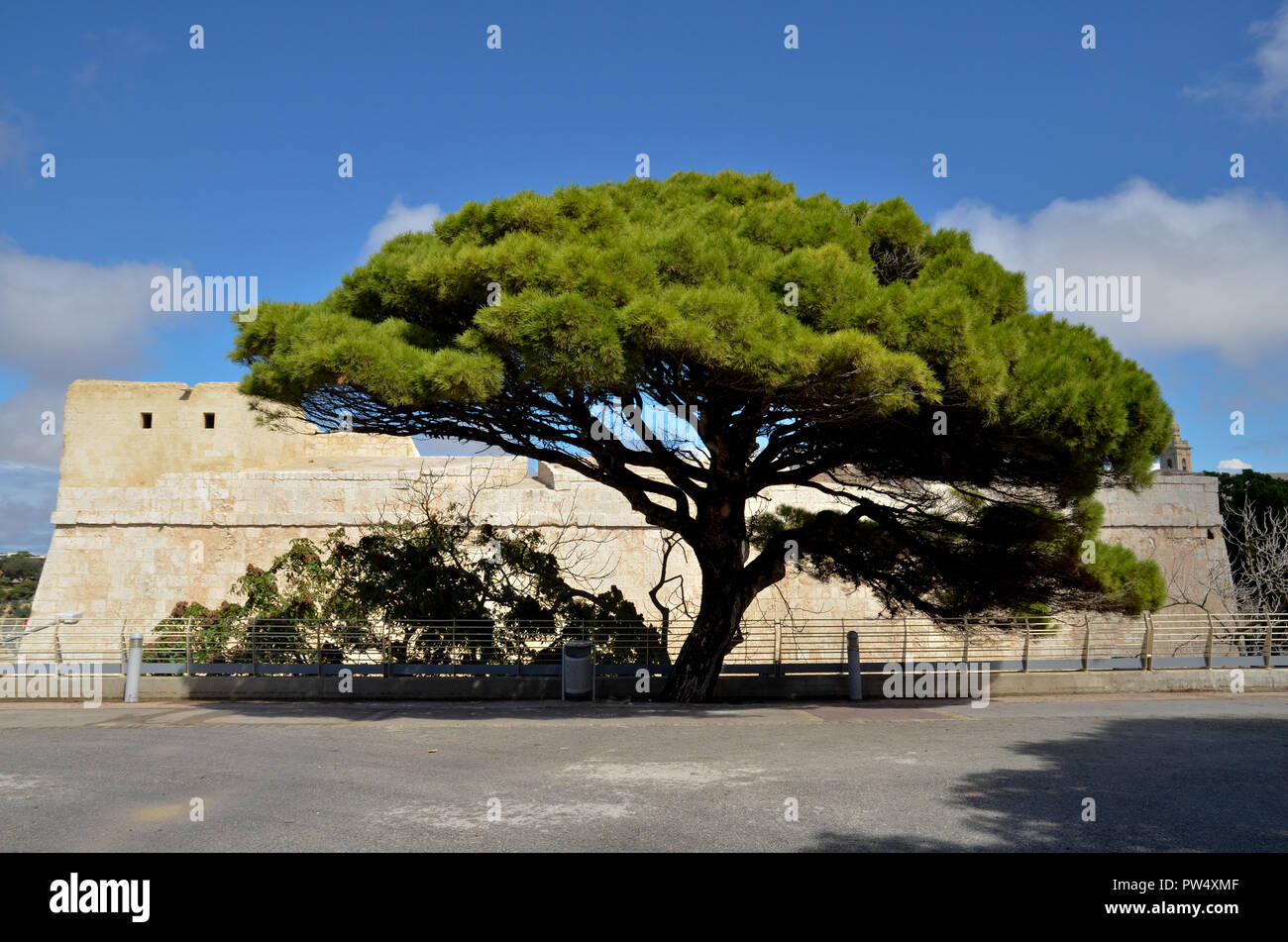 Mura di cinta, città fortificata di Mdina a Malta Foto Stock