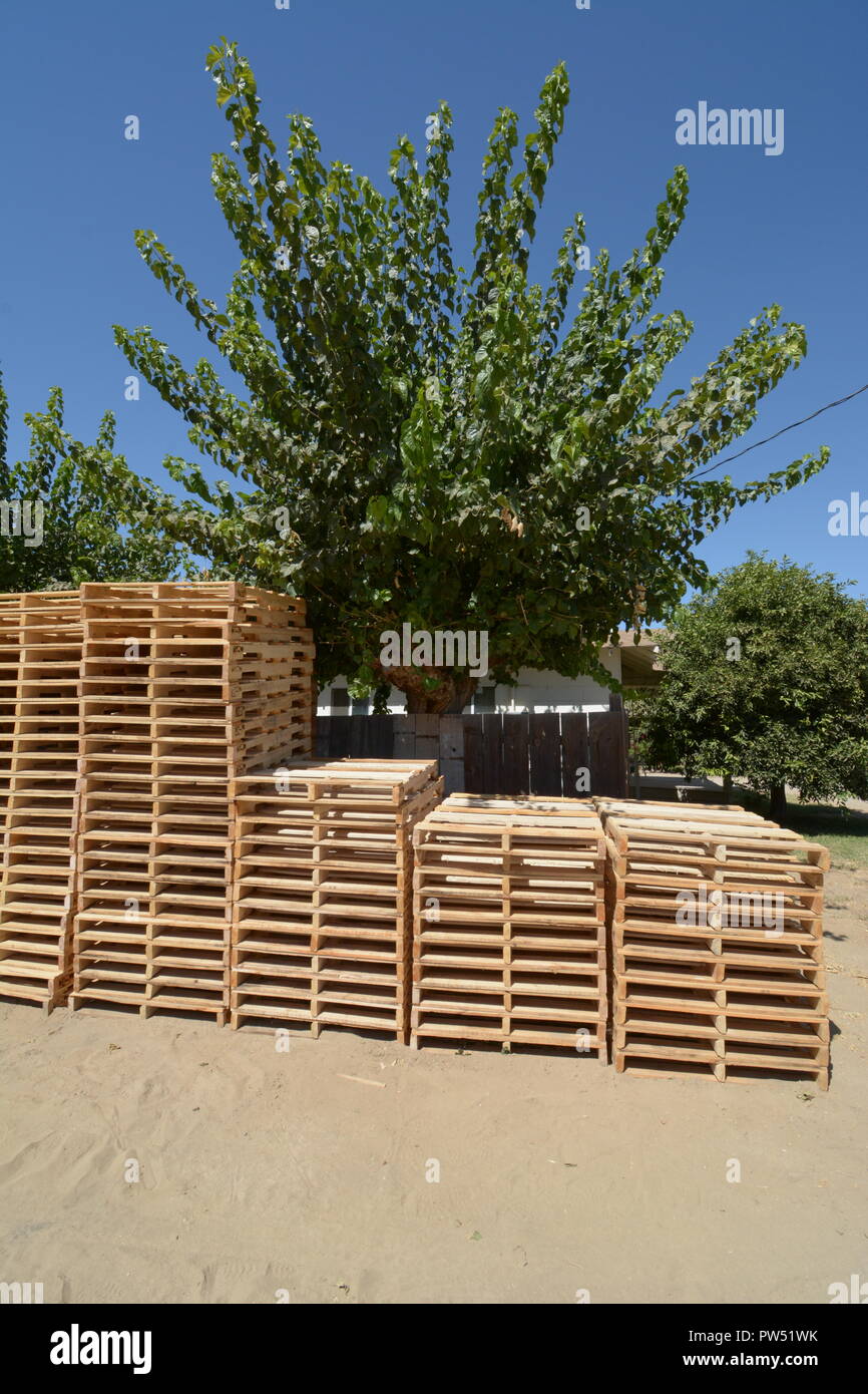 Pallet per la spedizione di prodotti agricoli al mercato Foto Stock