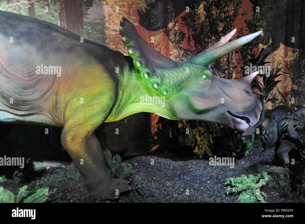 Milano (Italia), l'esposizione di animali preistorici riprodotti a grandezza piena; Triceratops (Triceratops Marsh) Foto Stock