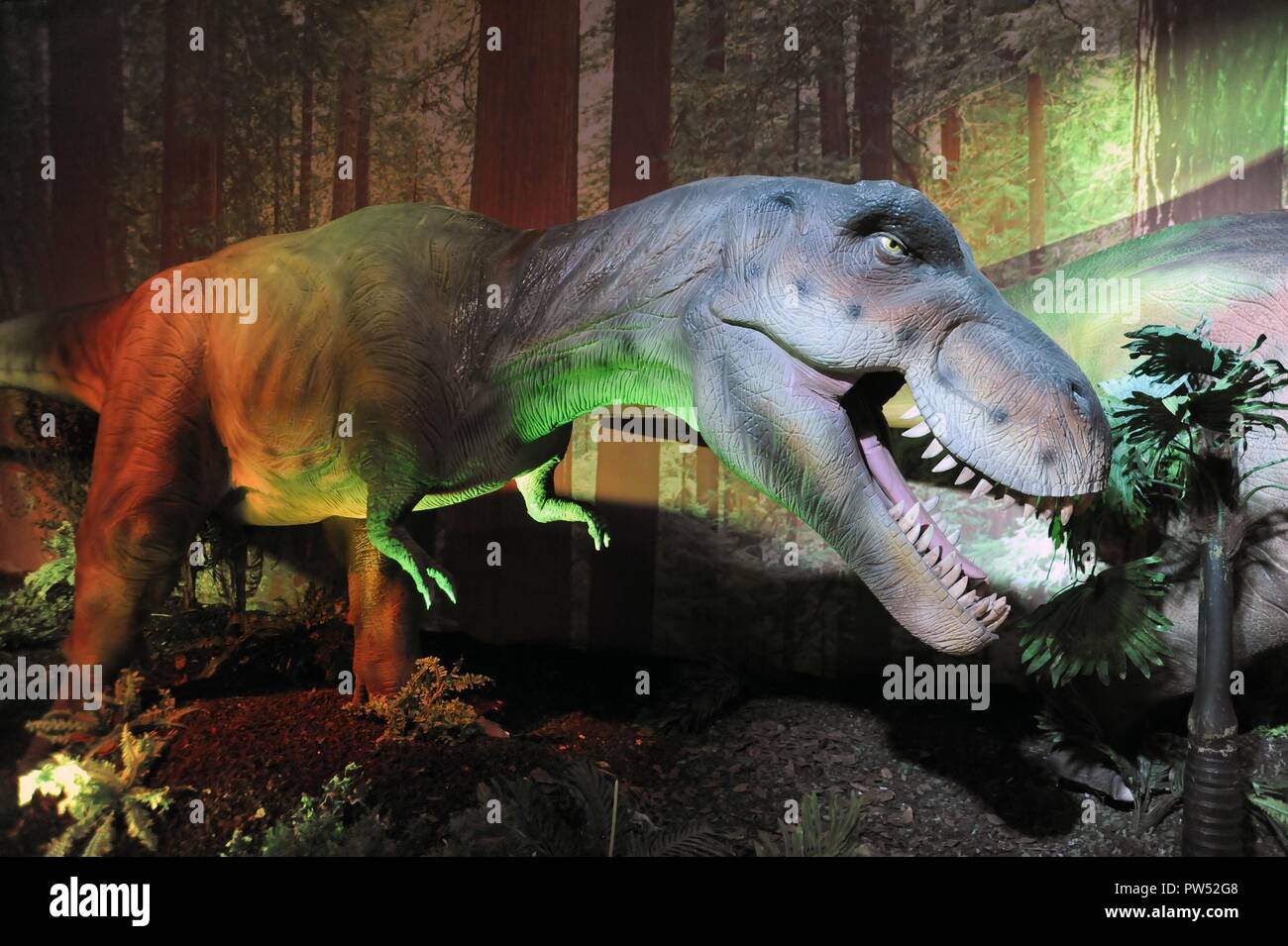Milano (Italia), l'esposizione di animali preistorici riprodotti a grandezza piena; Tirannosauro (Tyrannosaurus rex) Foto Stock