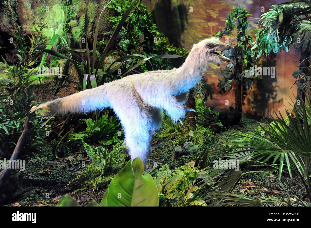 Milano (Italia), l'esposizione di animali preistorici riprodotti a grandezza piena; Alvarezsaurus (Alvarezsaurus calvoi) Foto Stock