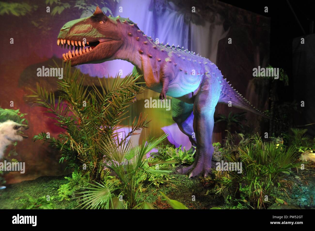 Milano (Italia), l'esposizione di animali preistorici riprodotti a grandezza piena; Carnotaurus (Carnotaurus sastrei) Foto Stock