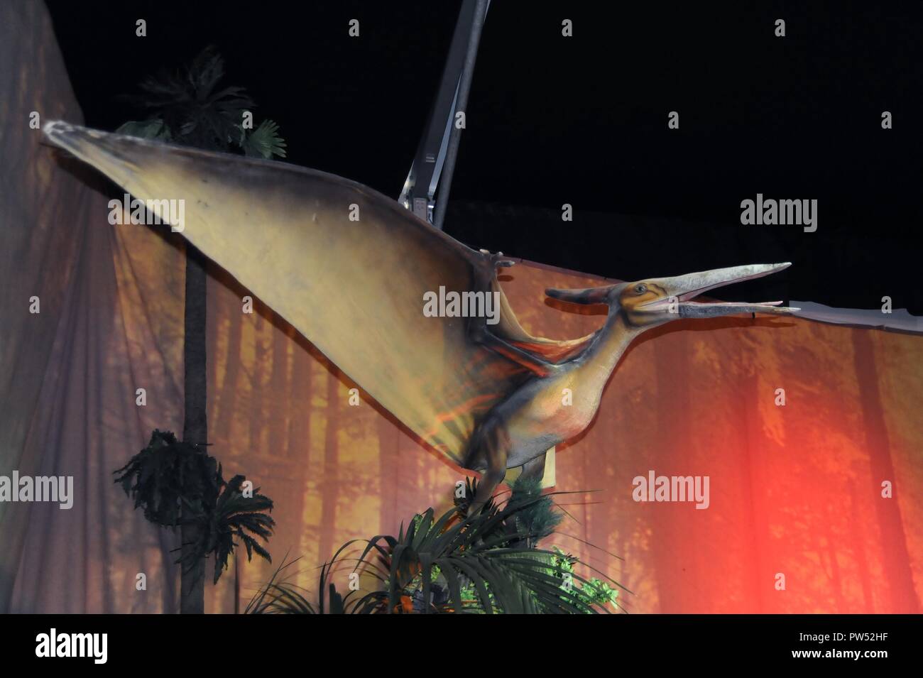 Milano (Italia), l'esposizione di animali preistorici riprodotti a grandezza piena; Pteranodon (Pteranodon longiceps) Foto Stock