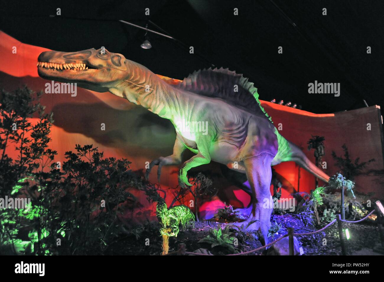 Milano (Italia), l'esposizione di animali preistorici riprodotti a grandezza piena; Spinosaurus (Spinosaurus aegyptiacus) Foto Stock