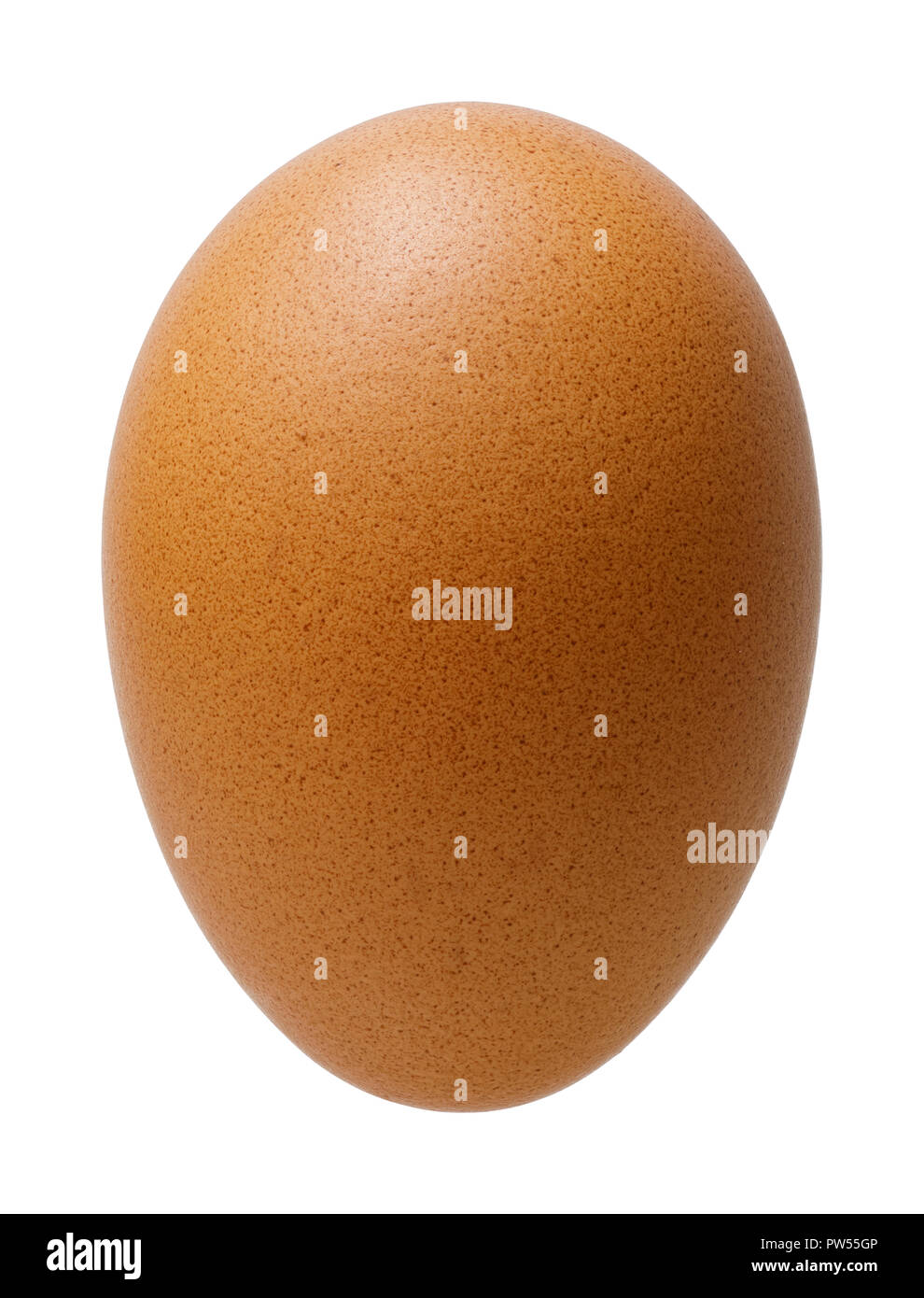 Di pollo o di uova di gallina isolato su bianco backgrund, deep focus immagine di impilamento, includono lo strumento penna tracciato di ritaglio Foto Stock