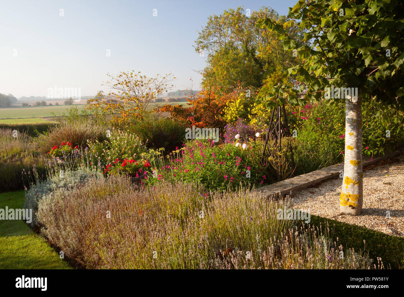 Brightwater giardini, Saxby, Lincolnshire, Regno Unito. In autunno, ottobre 2018. Foto Stock