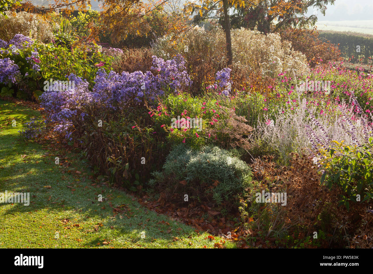 Brightwater giardini, Saxby, Lincolnshire, Regno Unito. In autunno, ottobre 2018. Foto Stock