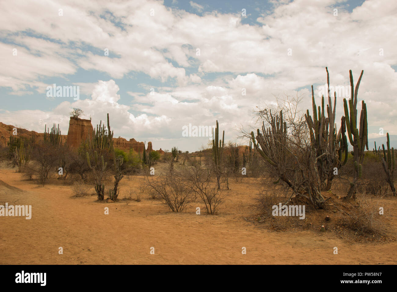 Tatacoa desert in Colombia Foto Stock