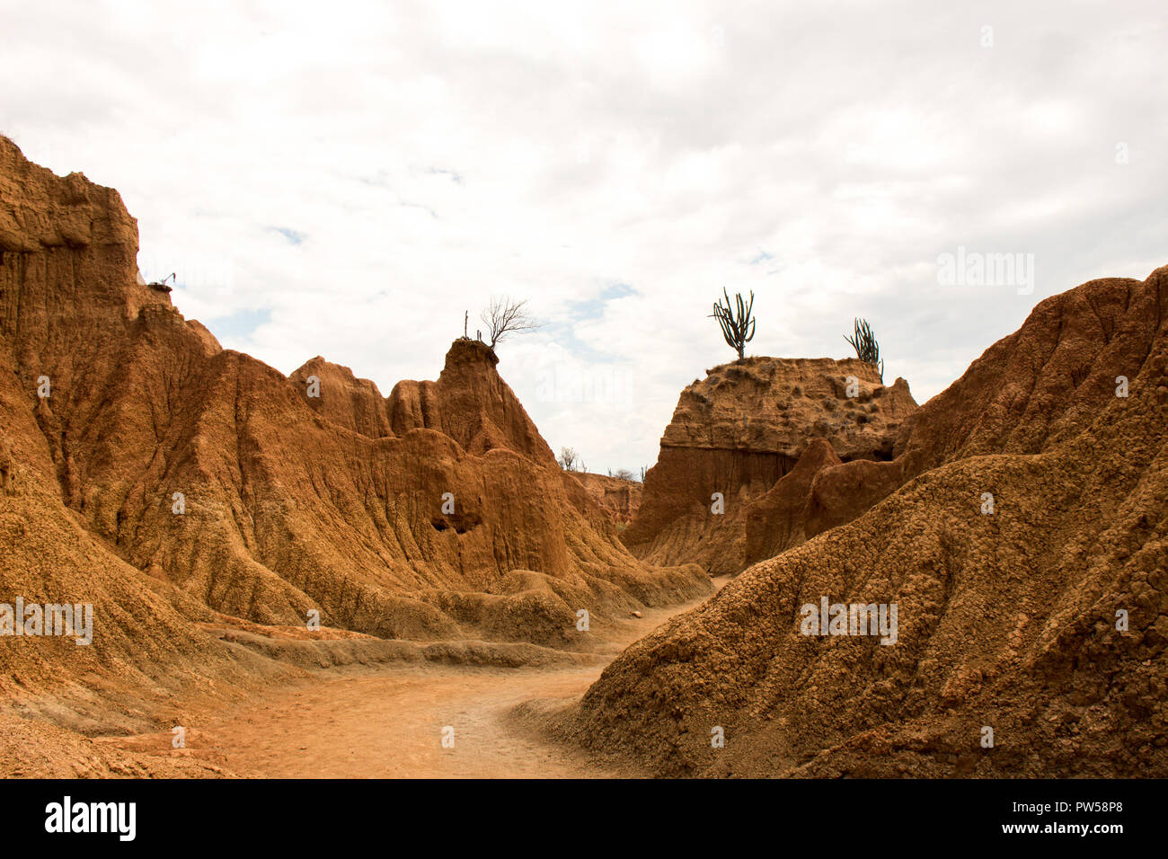 Tatacoa desert in Colombia Foto Stock