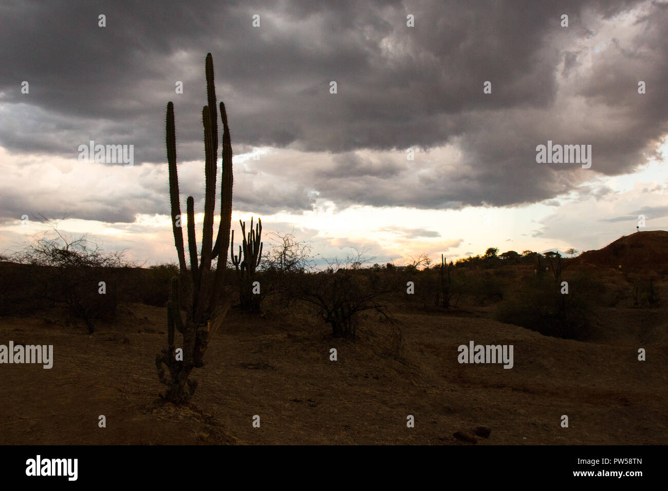 Tatacoa desert in Colombia Foto Stock