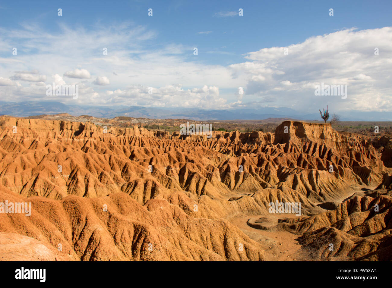 Tatacoa desert in Colombia Foto Stock