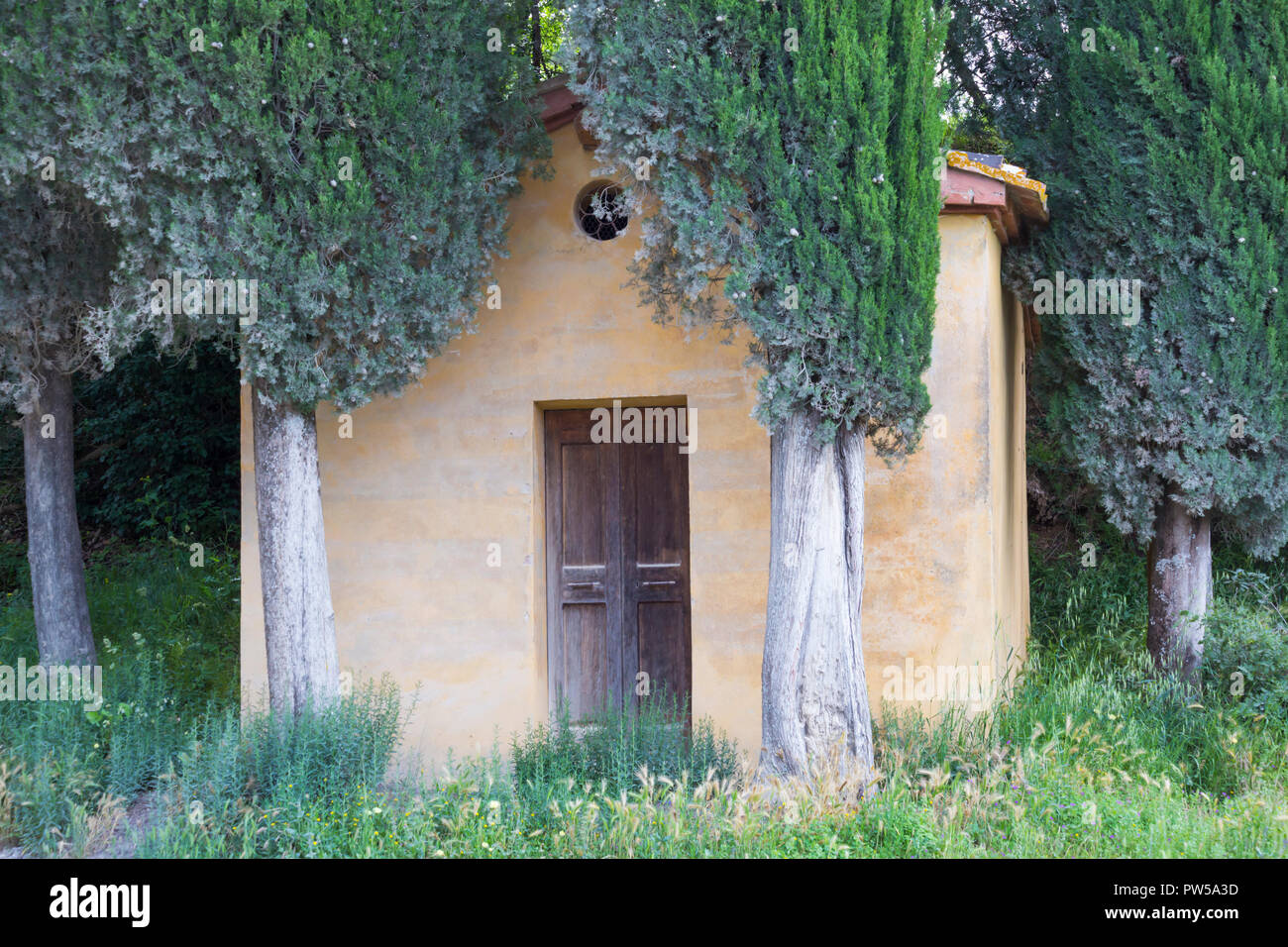 Piccola chiesa e cipressi cipressi a Lucignano d'Asso, Siena, Toscana, Italia nel mese di maggio Foto Stock