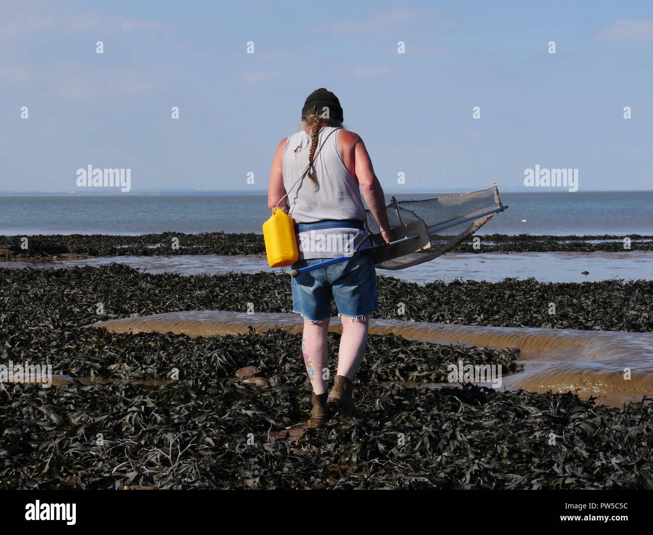 La pesca di gamberi da riva blu spiaggia di ancoraggio Canale di Bristol REGNO UNITO Foto Stock