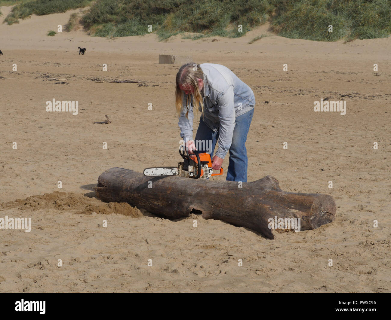 La raccolta di legno deriva da Burnham on sea beach utilizzando una motosega Foto Stock