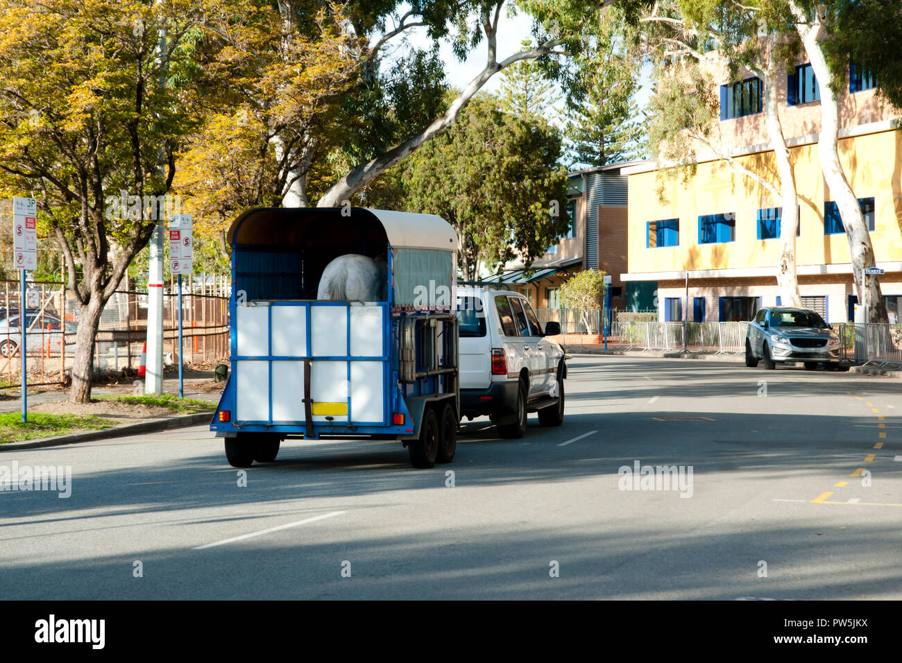 Il cavallo da corsa del carrello di trasporto Foto Stock