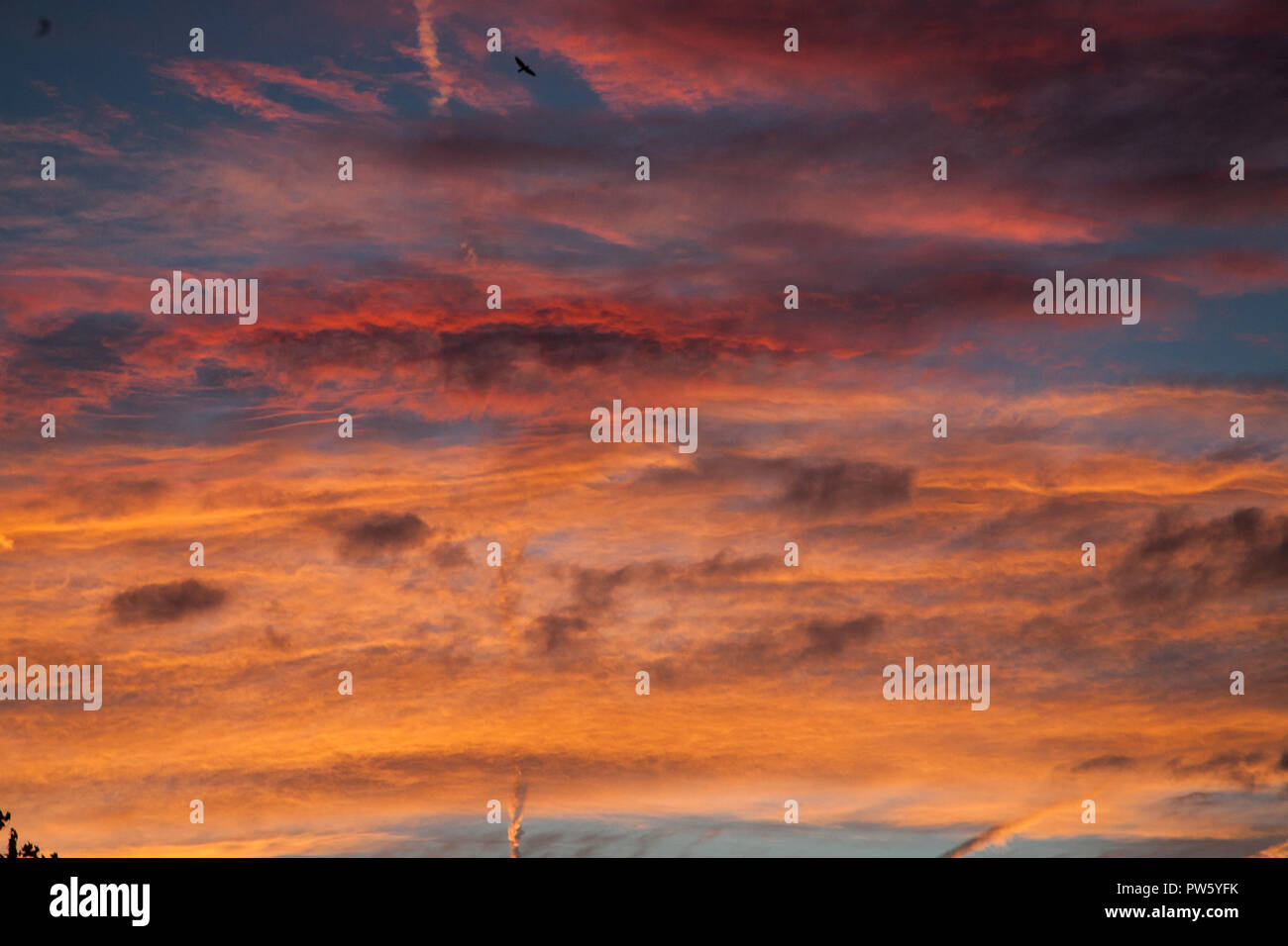 Londra REGNO UNITO. 13 ottobre 2018. Drammatica in rosso e arancione del cielo durante un autunno sunrise a Wimbledon Credito: amer ghazzal/Alamy Live News Foto Stock