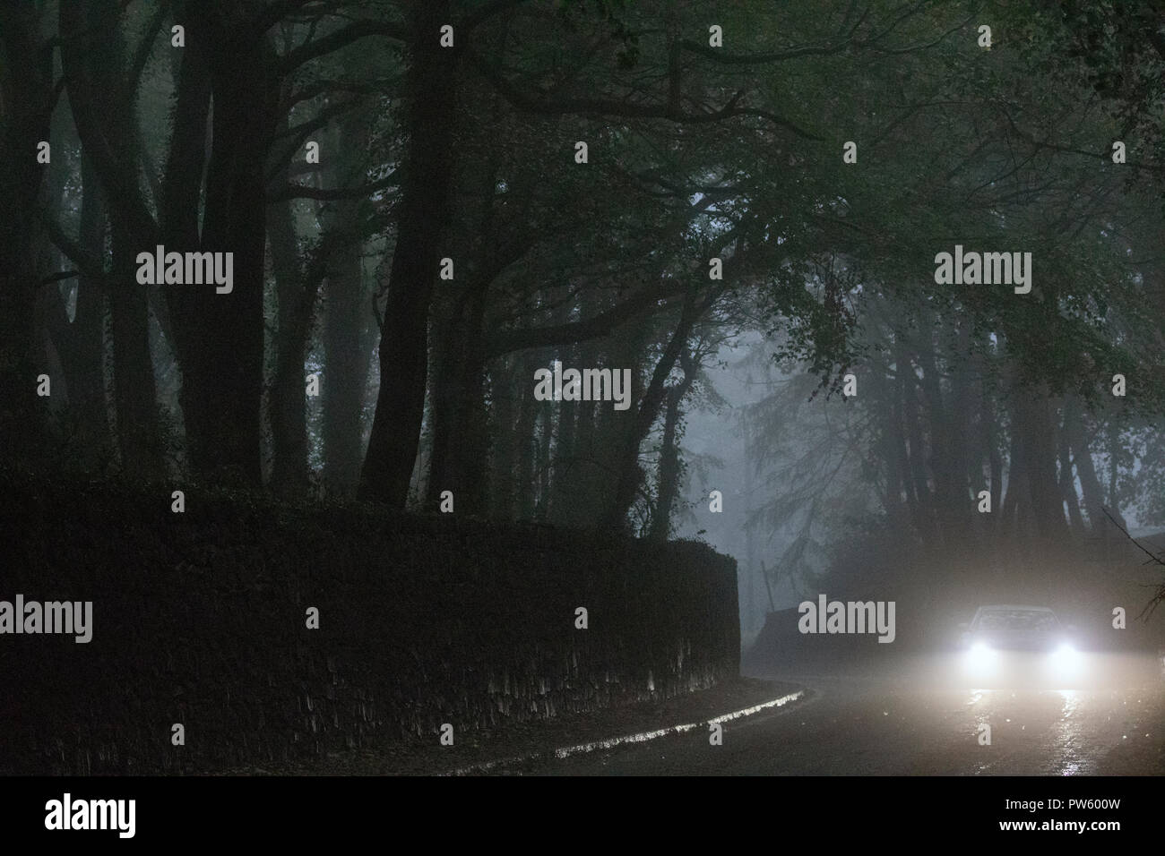 Un auto con i fari accesi in viaggio verso il basso un spooky corsia rurale con un legno misty inarcamento alberi sulla strada Foto Stock