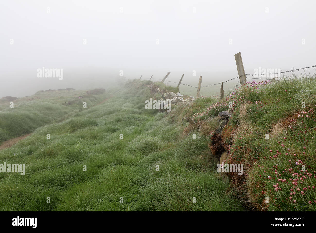 Pembrokeshire Sentiero costiero Foto Stock