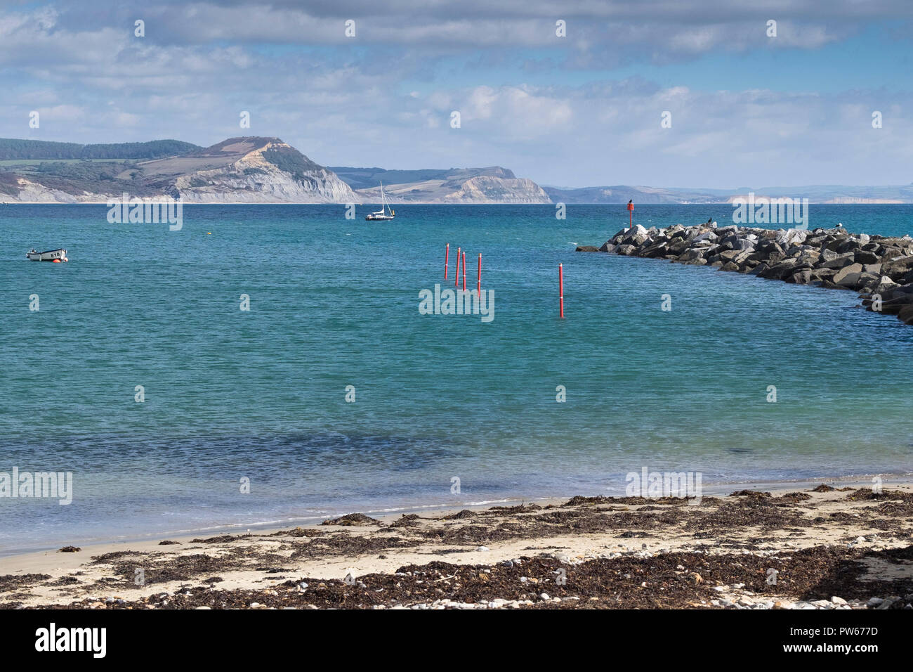 Lyme Bay e la Jurassic Coast nel Dorset. Foto Stock