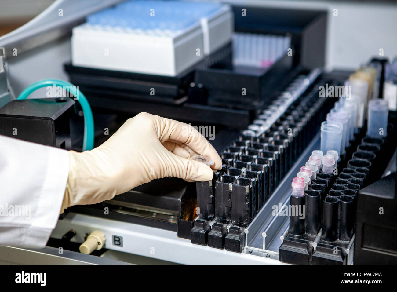 L'assistente di laboratorio luoghi il campione nell'apparecchio per analisi, close-up Foto Stock