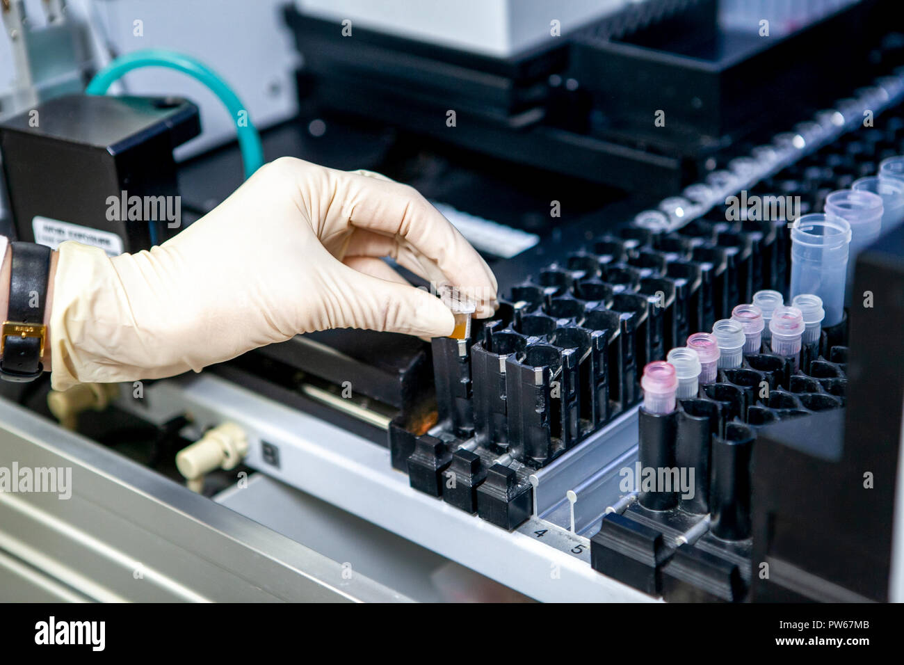 L'assistente di laboratorio luoghi il campione nell'apparecchio per analisi, close-up Foto Stock