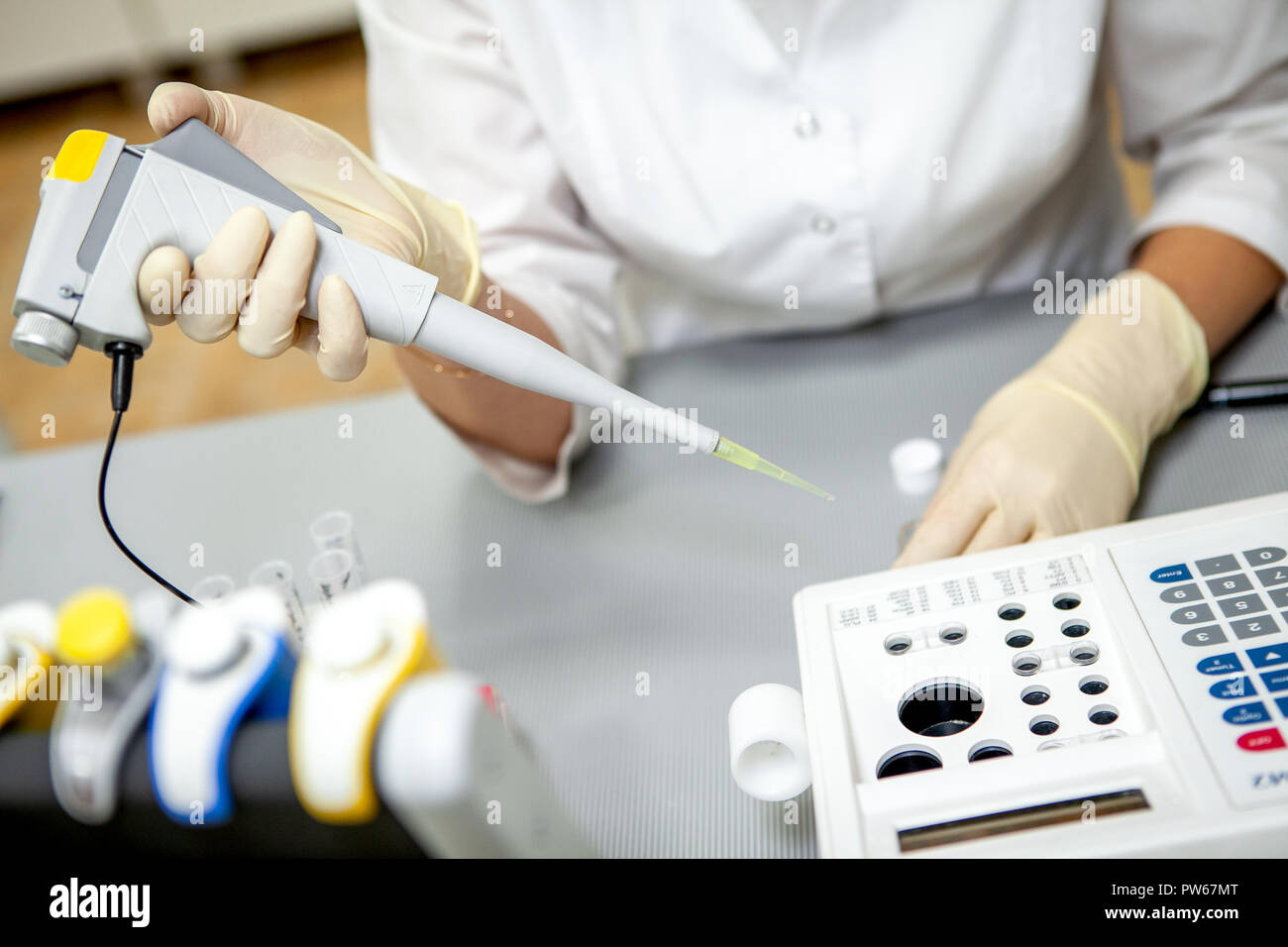 Assistente di laboratorio prende un campione di sangue per analisi, close-up Foto Stock