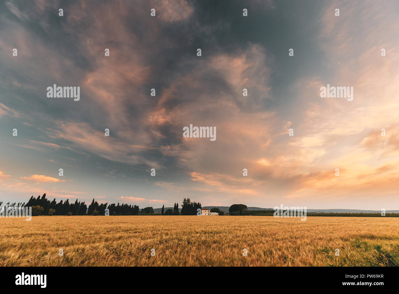 La Catalogna, Spagna. Sera d'estate il cielo sopra la campagna spagnola rurale Campo di grano paesaggio. Giallo del grano al tramonto del tempo. Foto Stock
