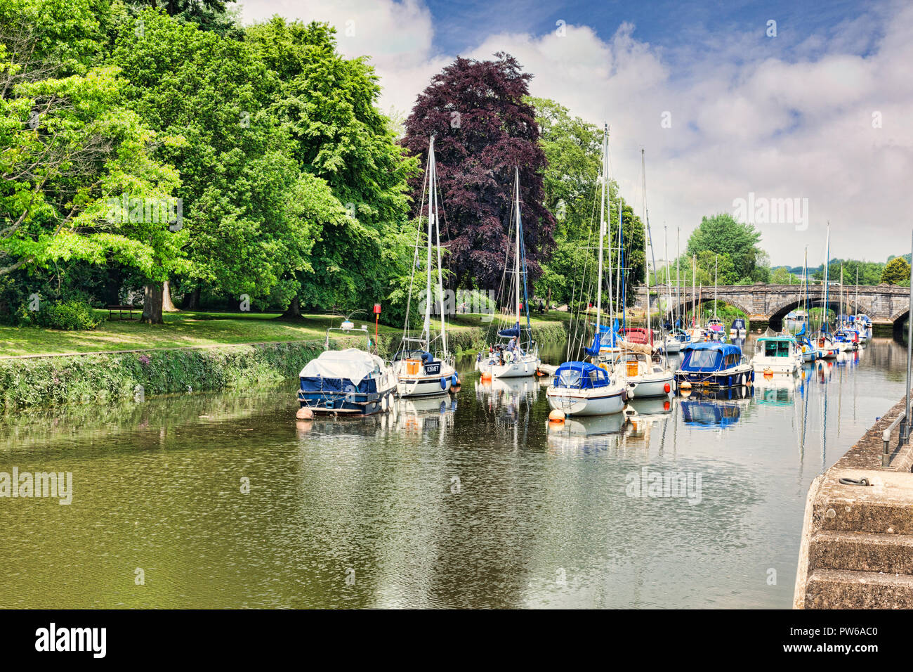 25 Maggio 2018: Totnes, Devon, Regno Unito - barche lungo il fiume Dart e alberi in piena foglie fresche. Foto Stock