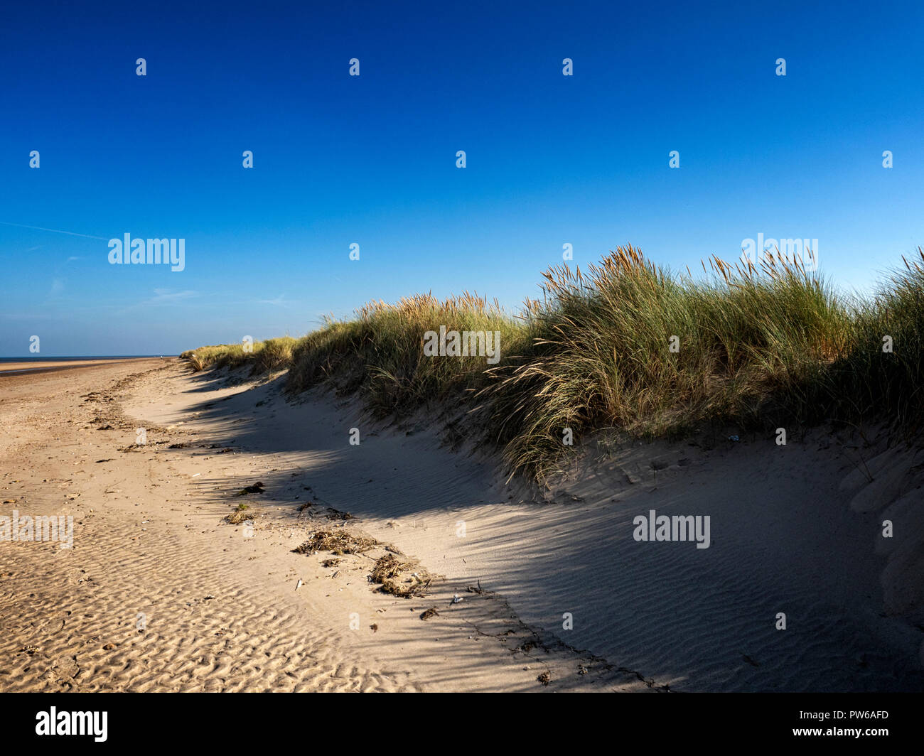 Le dune di sabbia del Holme dune riserva naturale nazionale sulla Costa North Norfolk, Inghilterra, Regno Unito Foto Stock