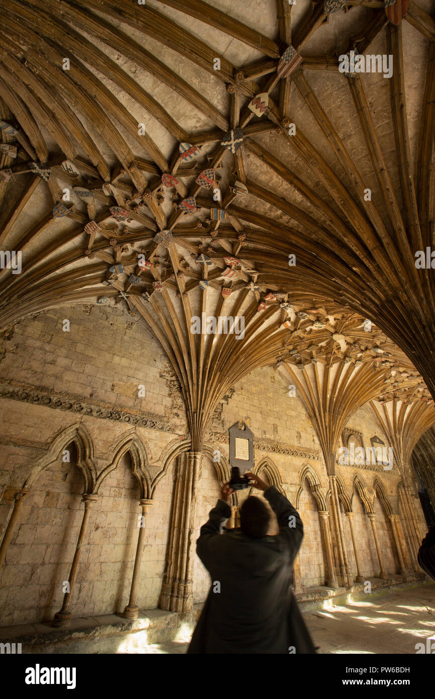Regno Unito, Kent, Canterbury, Cattedrale di Canterbury, chiostro grande, visitatore tenendo fotografia di nervatura soffitto a volta Foto Stock