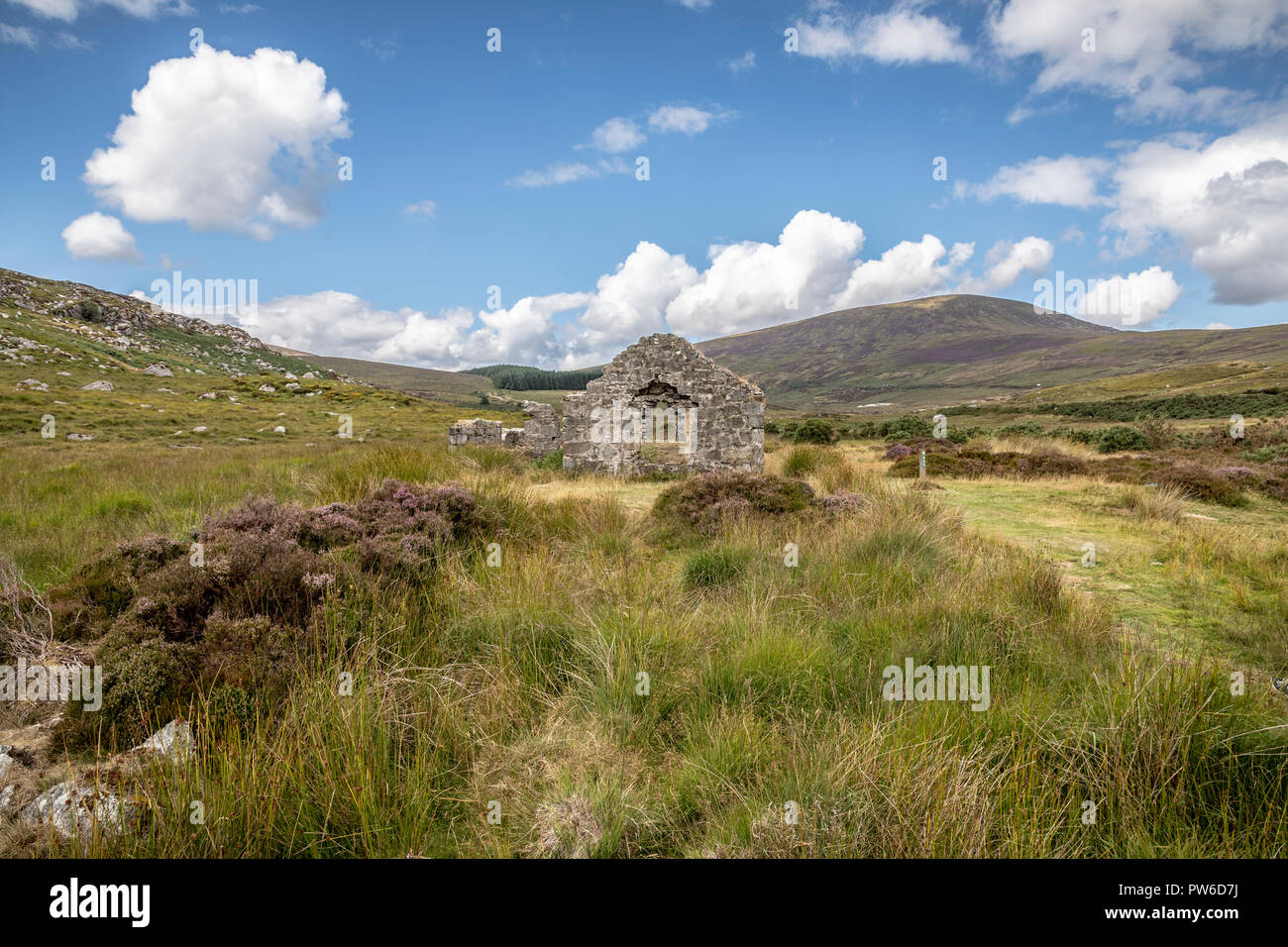 Glendasan Valley, Brockagh, Co. Wicklow, Irlanda Foto Stock