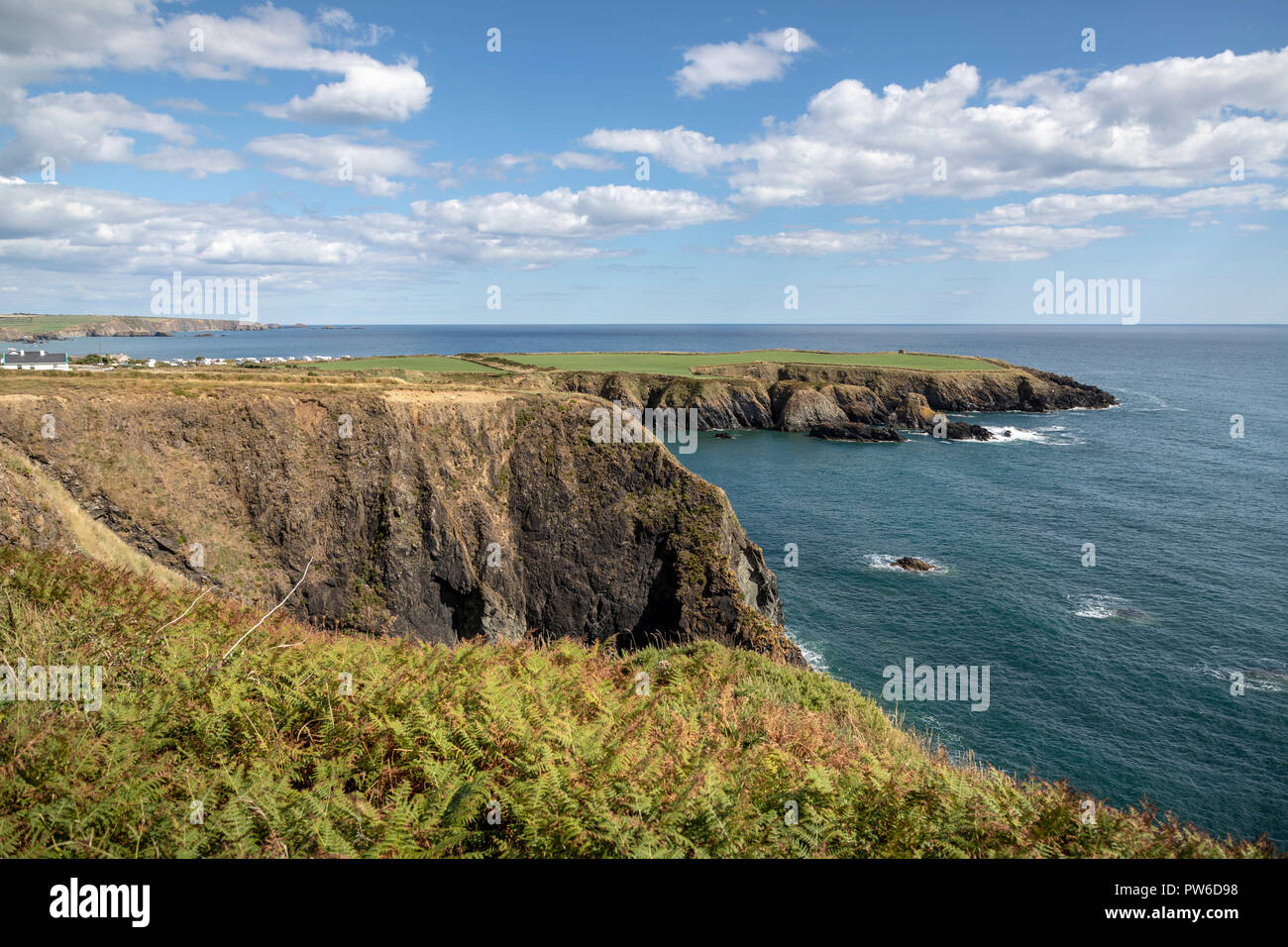 Testa Dunabrattin, Co Waterford, Irlanda, Europa. Foto Stock