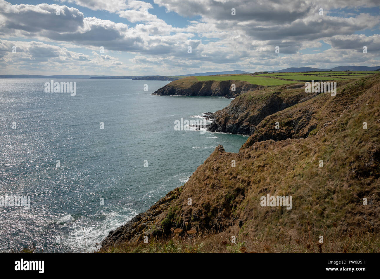 Testa Dunabrattin, Co Waterford, Irlanda, Europa. Foto Stock