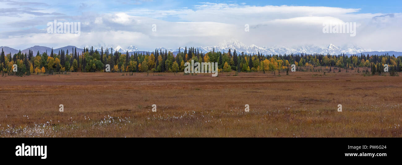 Alaskan bog nella caduta di colori con le montagne innevate del Parco Nazionale e Riserva di Denali in distanza Foto Stock