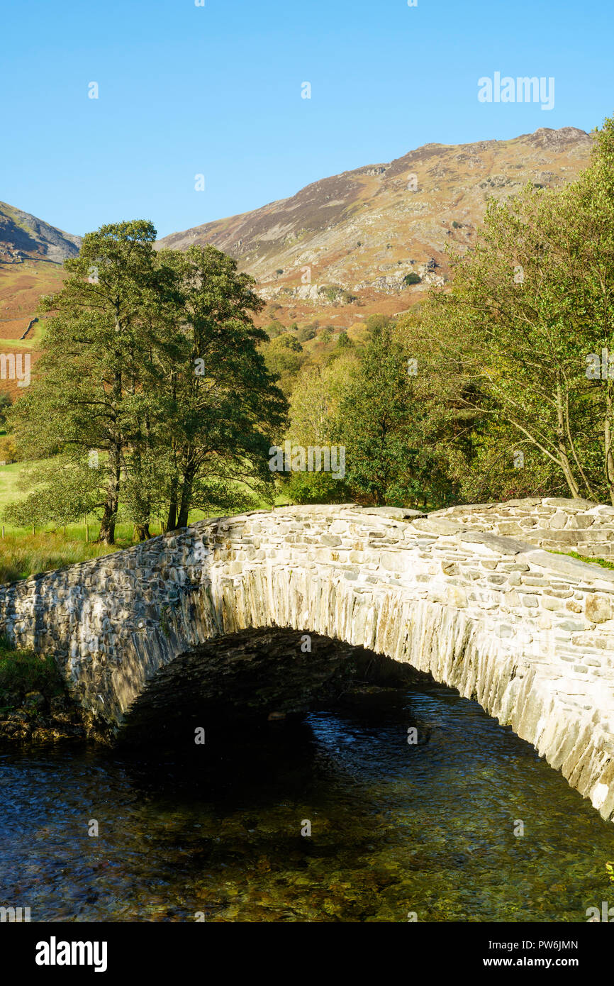 Antica pietra packhorse ponte sul fiume Derwent vicino a Rosthwaite, Cumbria, England, Regno Unito Foto Stock