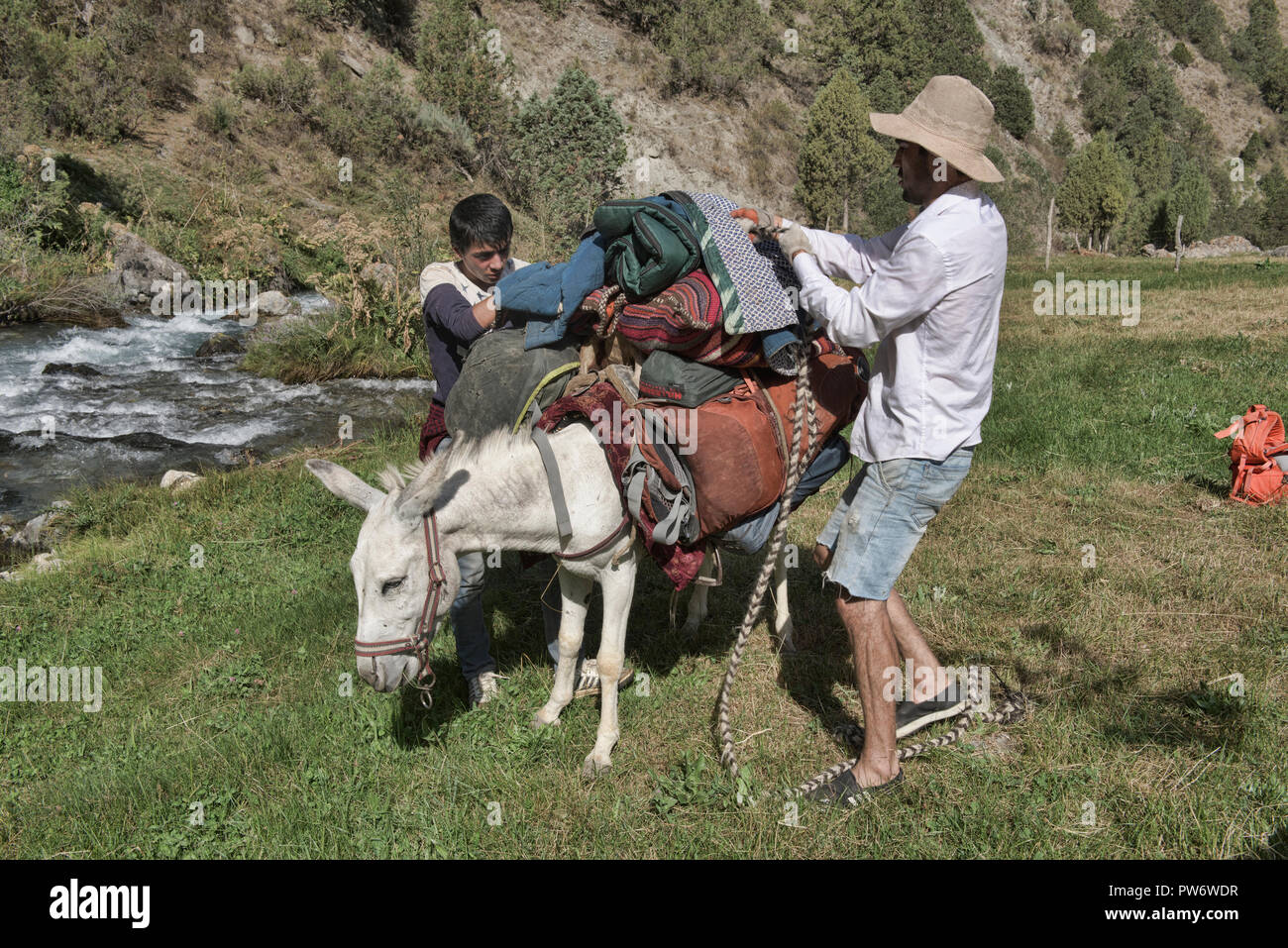 Donkey trekking nella splendida Fann montagne, Tagikistan. Foto Stock