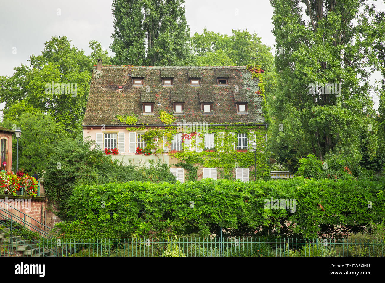 Bella ivy e coperto di vite home in Francia Foto Stock
