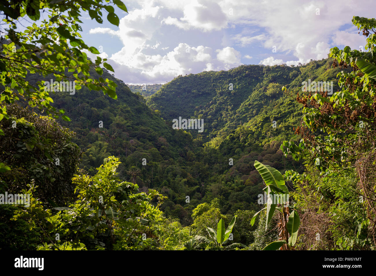 Cascate Budlaan attività outdoor trekking lungo un fiume creek corso d'acqua passando il ponte di bambù, serie di immagini nella provincia di Cebu Foto Stock