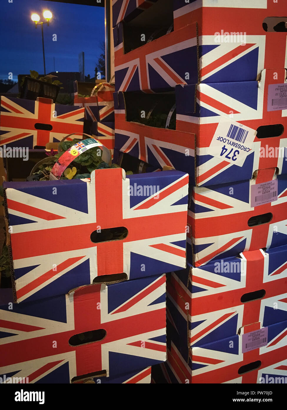 Scatole di British le piante al di fuori di un supermercato di Glasgow, UK. Foto Stock