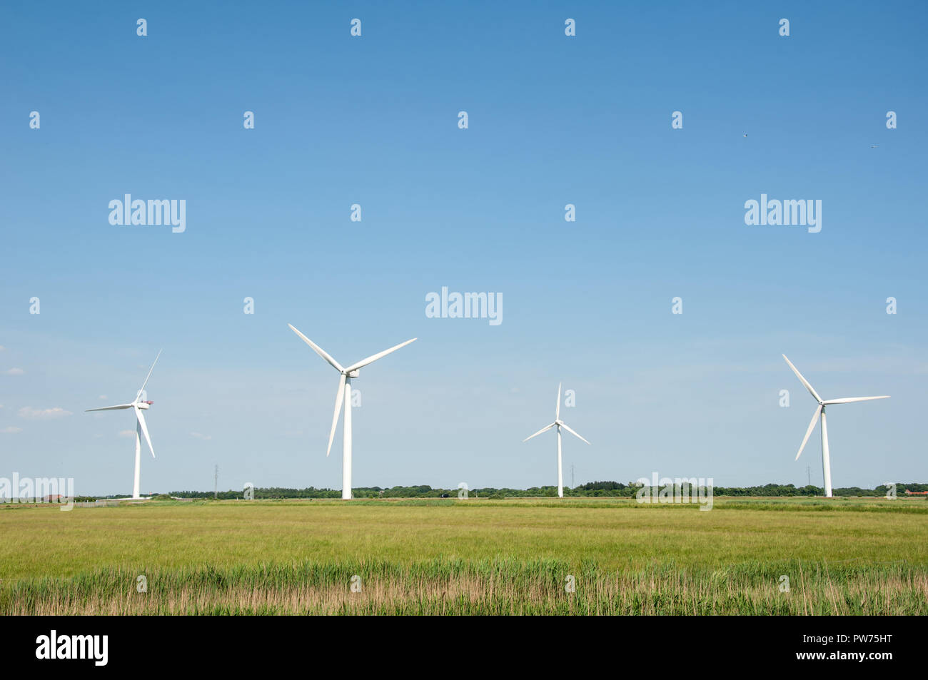 Verde prato con turbine eoliche che generano elettricità Foto Stock