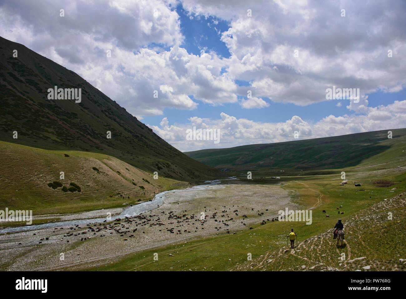 Trekking sulle altezze di epica di Alay percorso, Alay, Krygyzstan Foto Stock