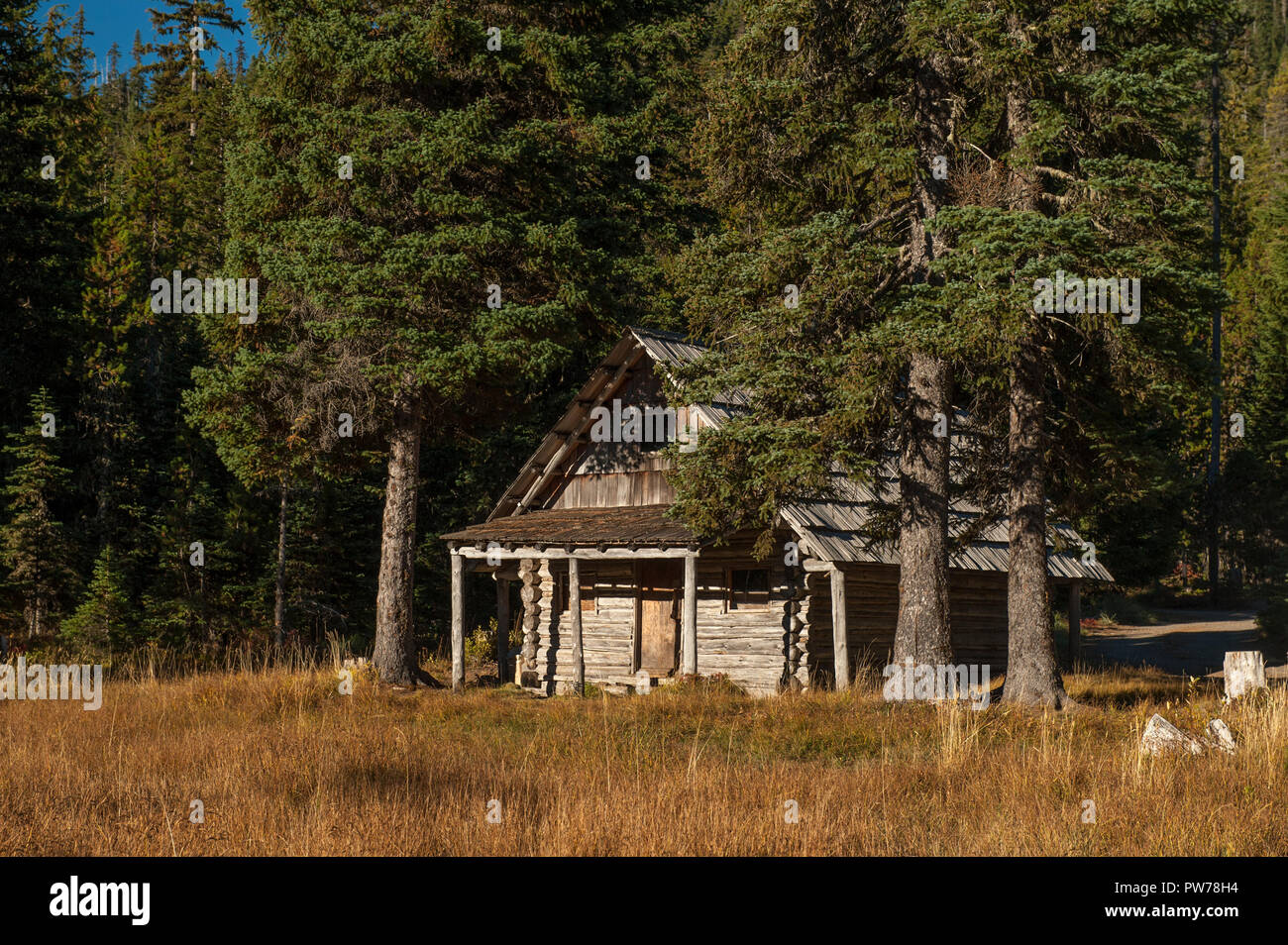 La cabina di storico, costruito nel 1910, a prati Olallie campeggio in Oregon Mt. Hood National Forest. Si può dormire in questa cabina per 20 dollari a notte. Foto Stock