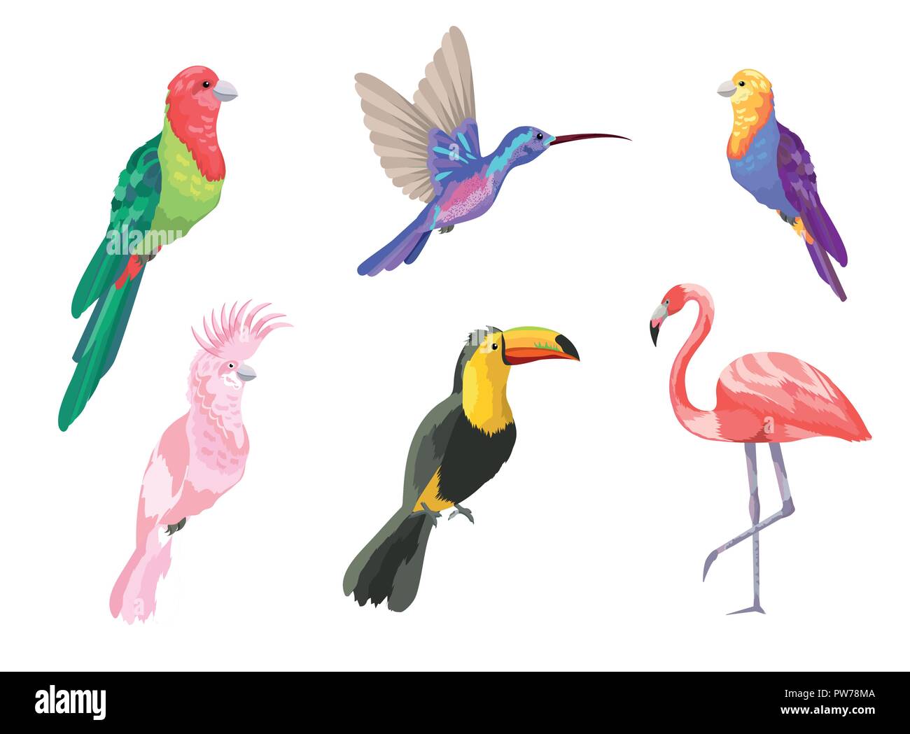 Impostare gli uccelli tropicali natura esotica Illustrazione Vettoriale