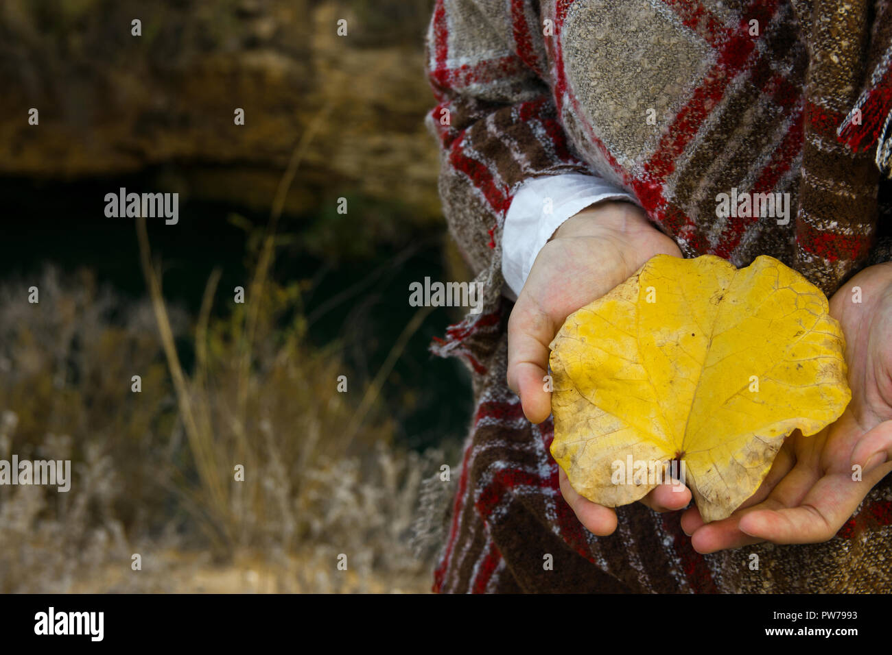 Giovane donna caucasica in lana a scacchi plaid tiene in mano di colore giallo brillante lamina nel campo prato. Accogliente atmosfera d'autunno. Bellissimo paesaggio. Warm eart Foto Stock