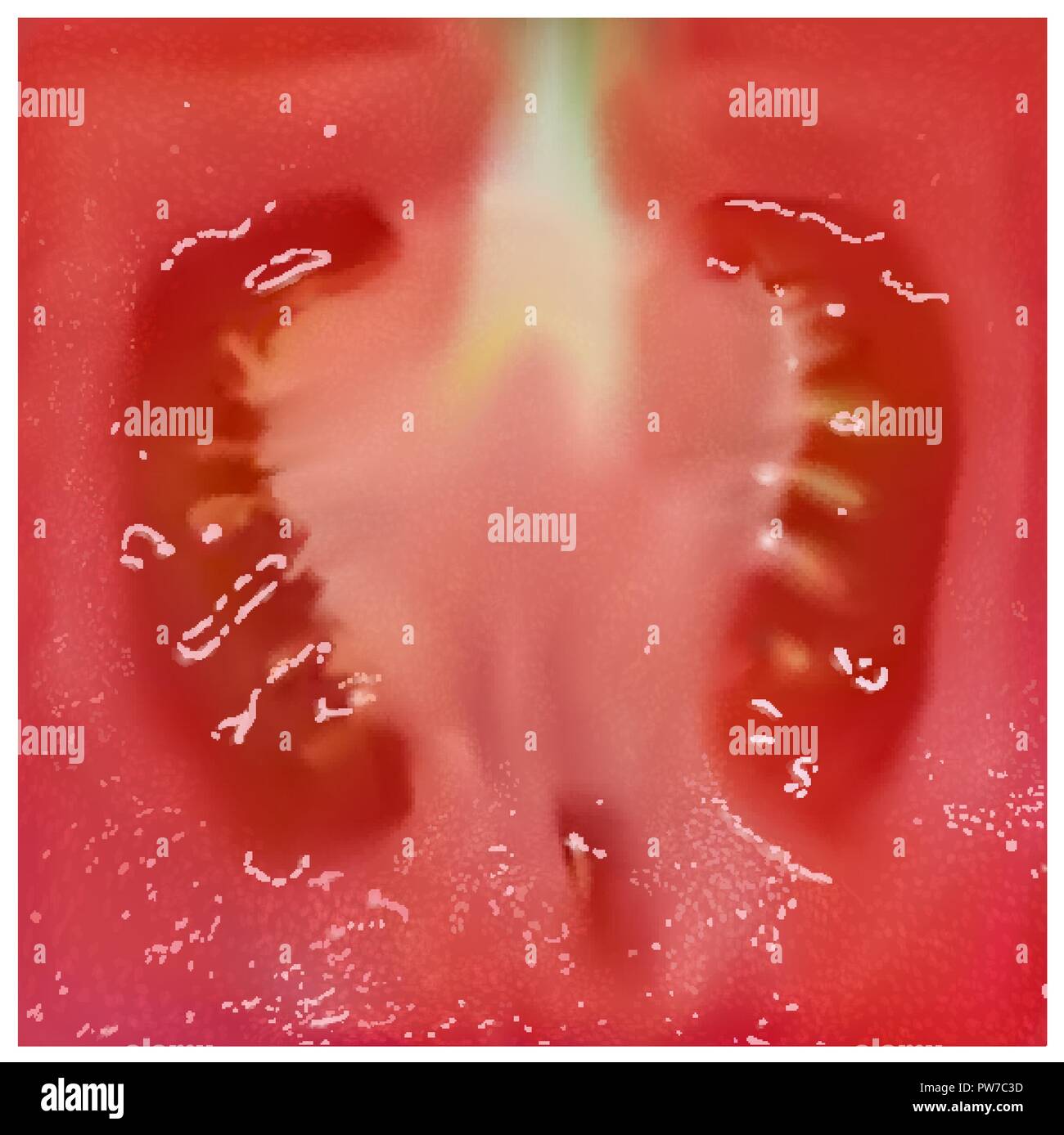 Di forma quadrata pomodoro su sfondo bianco Illustrazione Vettoriale