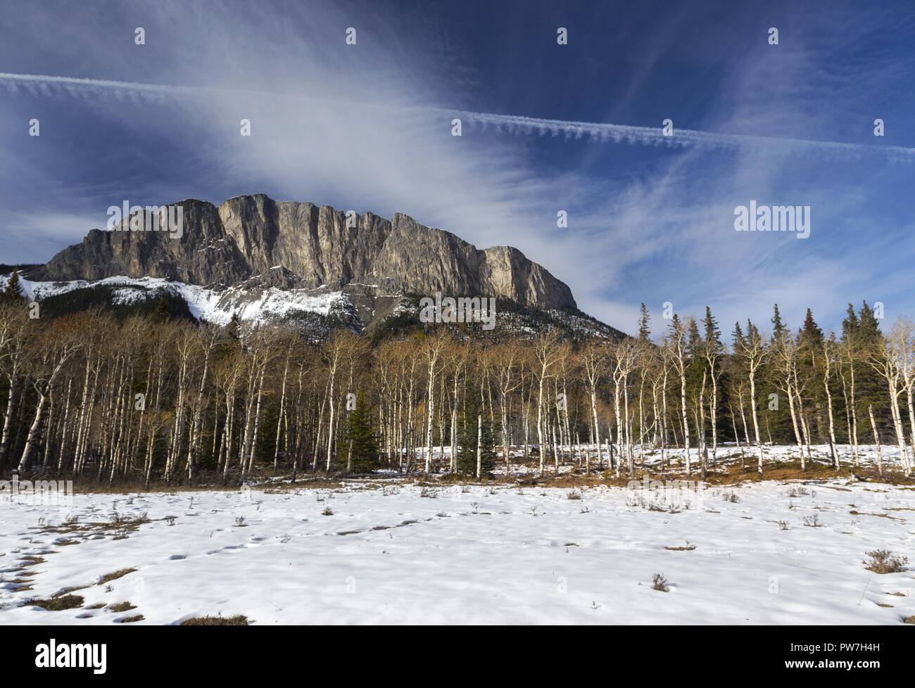 Prato di prateria innevato, monte Yamnuska, monte John Laurie, paesaggio della foresta di Aspen. Alberta, ai piedi delle Montagne Rocciose canadesi, profilo blu Foto Stock