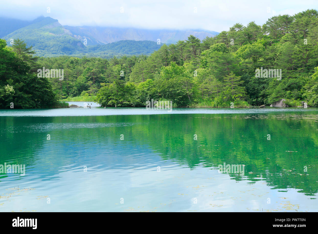 Goshiki-numa prefettura di Fukushima Foto Stock