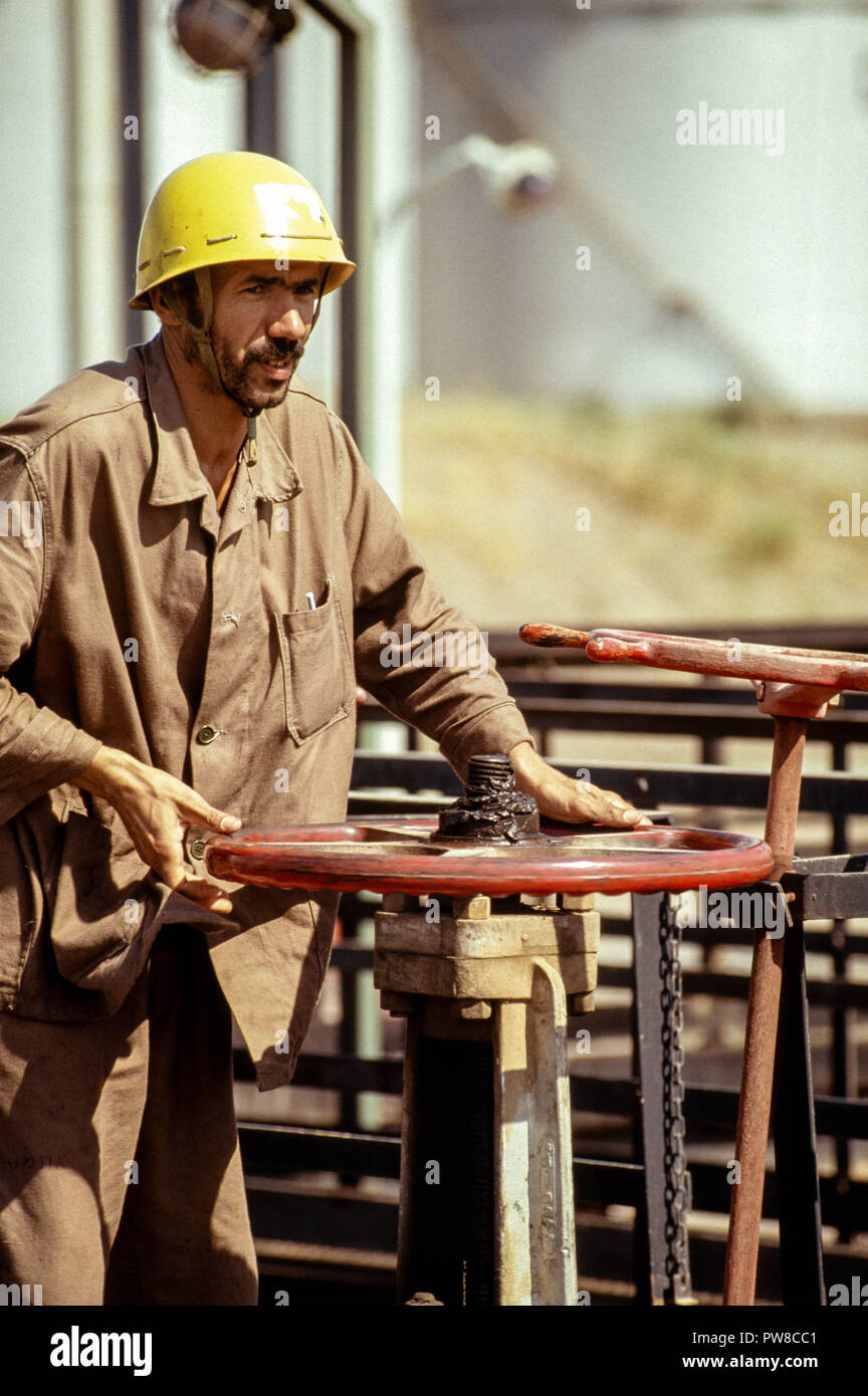 Serrare le valvole ad Algeri raffineria Naftec, filiale di Sonatrach, uno di Algeria in quattro raffinerie. Gli idrocarburi rivestono un ruolo cruciale in Algeria in economia, contabilità per circa il 60% delle entrate di bilancio e di oltre il 95% dei proventi da esportazione. Gli Stati Uniti Energy Information Administration ha riferito che nel 2005, l'Algeria ha avuto 160 trilioni di piedi cubici (Tcf) comprovato di riserve di gas naturale, l'ottava al mondo. Foto Stock