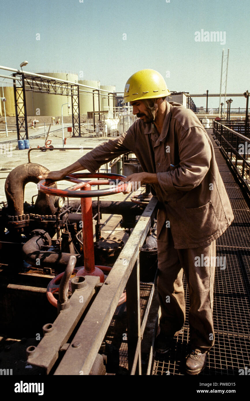 Serrare le valvole ad Algeri raffineria Naftec, filiale di Sonatrach, uno di Algeria in quattro raffinerie. Gli idrocarburi rivestono un ruolo cruciale in Algeria in economia, contabilità per circa il 60% delle entrate di bilancio e di oltre il 95% dei proventi da esportazione. Gli Stati Uniti Energy Information Administration ha riferito che nel 2005, l'Algeria ha avuto 160 trilioni di piedi cubici (Tcf) comprovato di riserve di gas naturale, l'ottava al mondo. Foto Stock